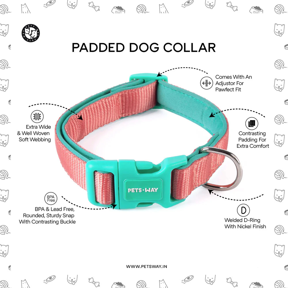 Pets Way Classic Padded Collars For Dogs