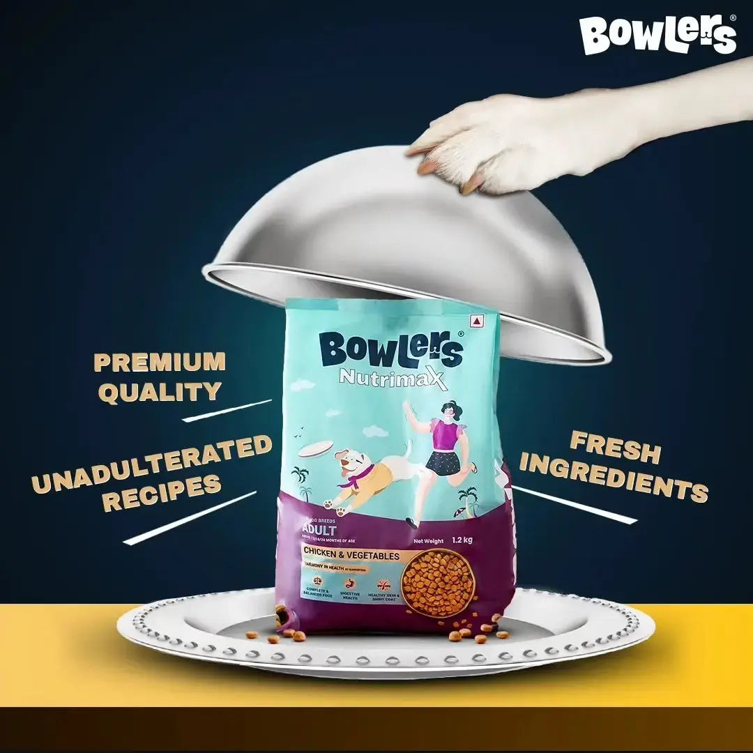 Bowlers- Chicken And Vegetables Dry Dog Food for Adult Dogs