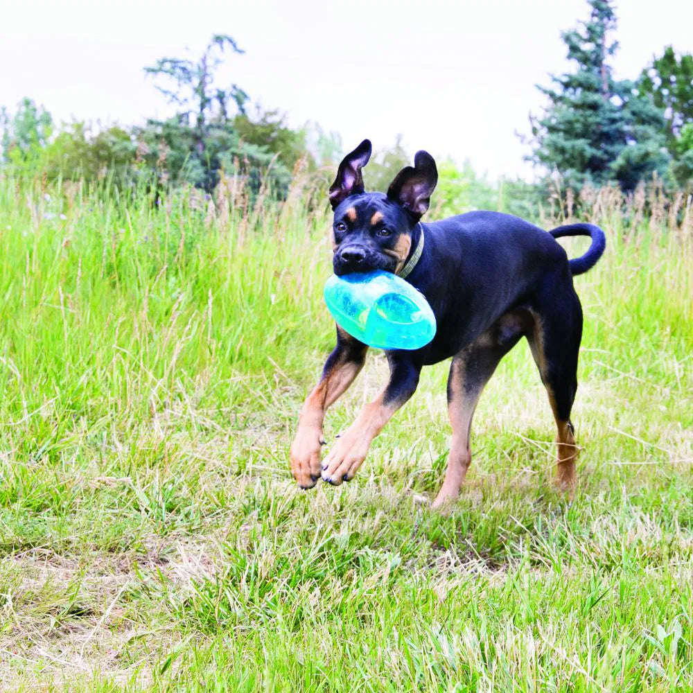 Kong – Jumbler Football Toy for Dogs