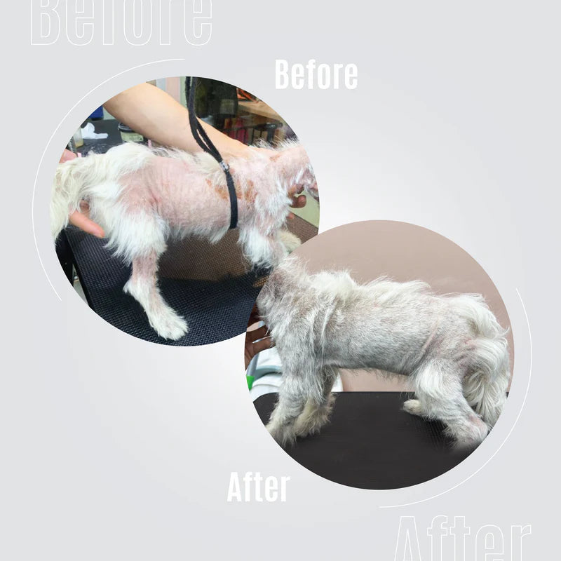 Tauro Pro Line Pure Energizing Elixir No. 4 to Stimulate Coat Growth for Dogs and Cats