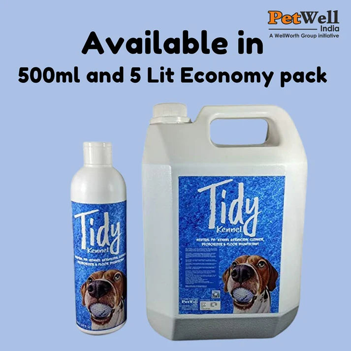 Tidy- Kennel Wash