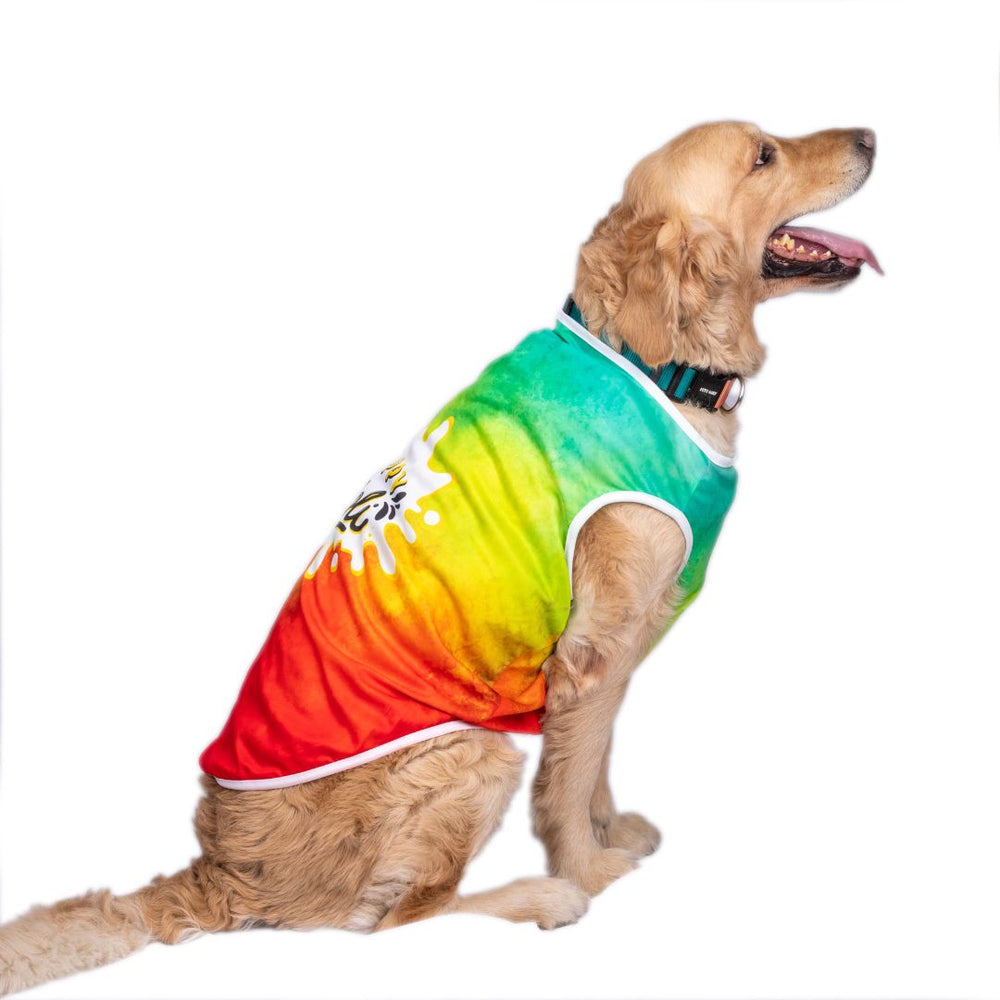 Pets Way Tie & Dye Holi T-Shirt for Dogs