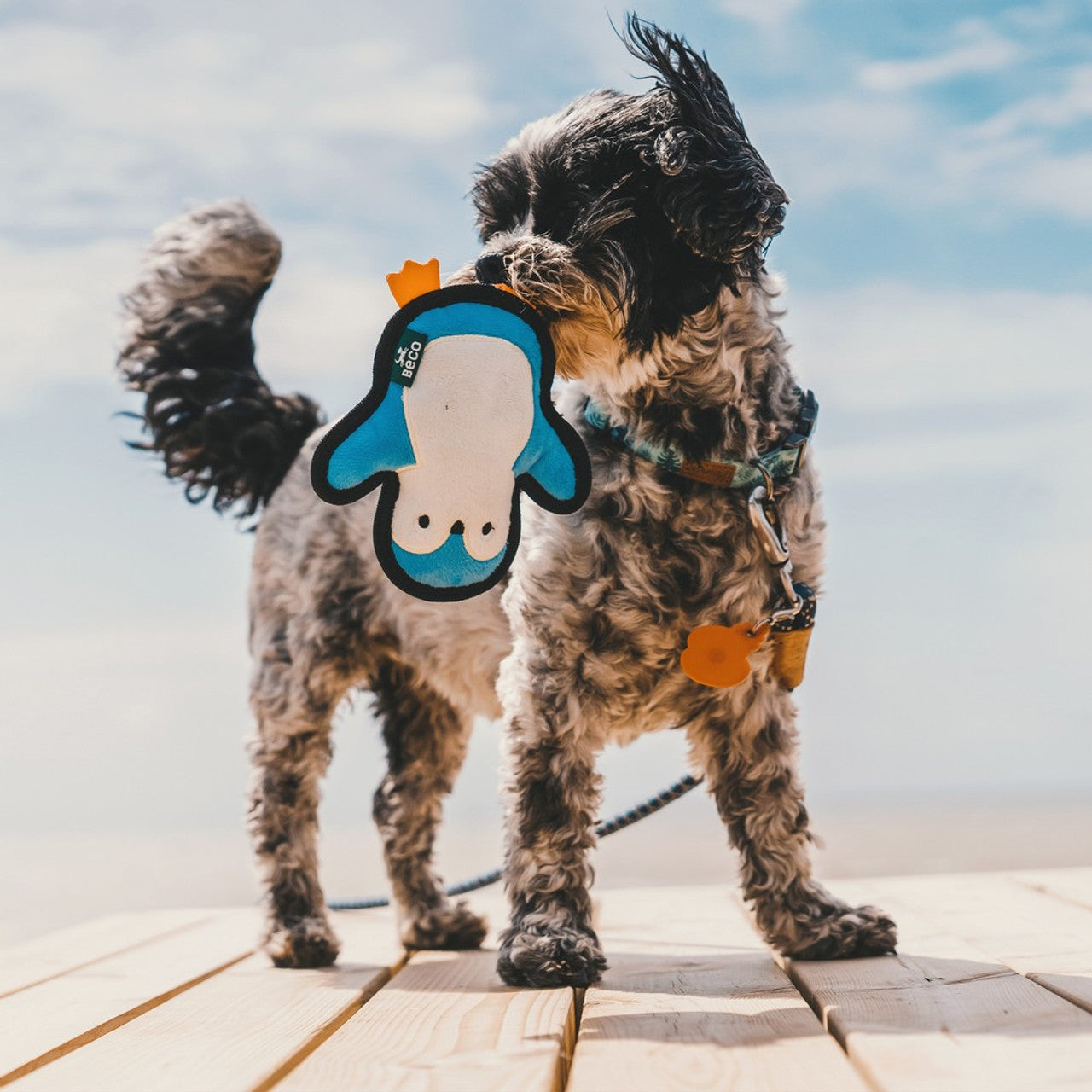 Beco Rough and Tough Penguin Dog Toy