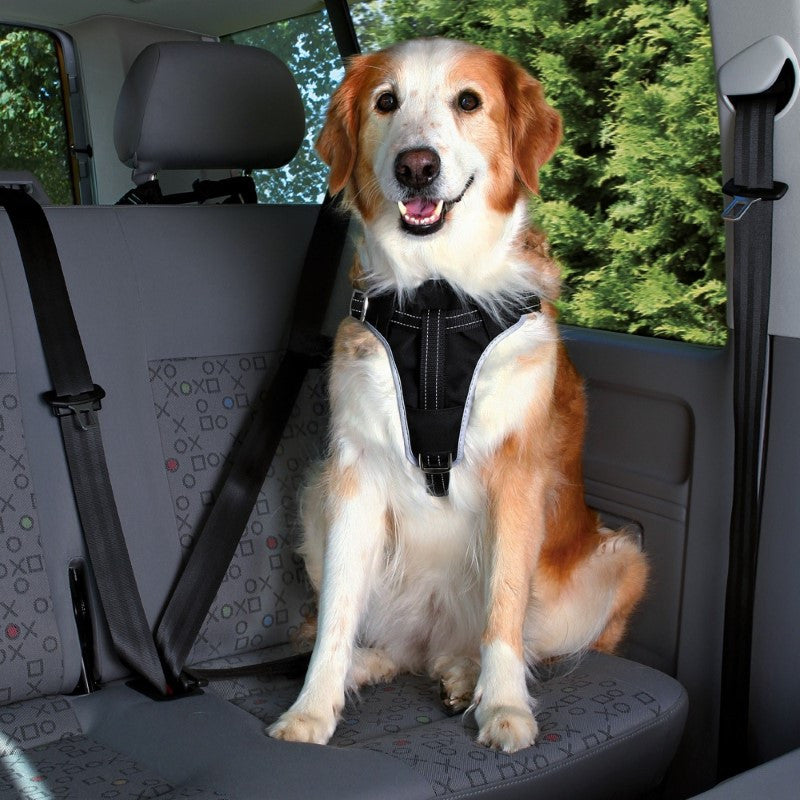 Trixie- Dog Protect Car Safety Harness