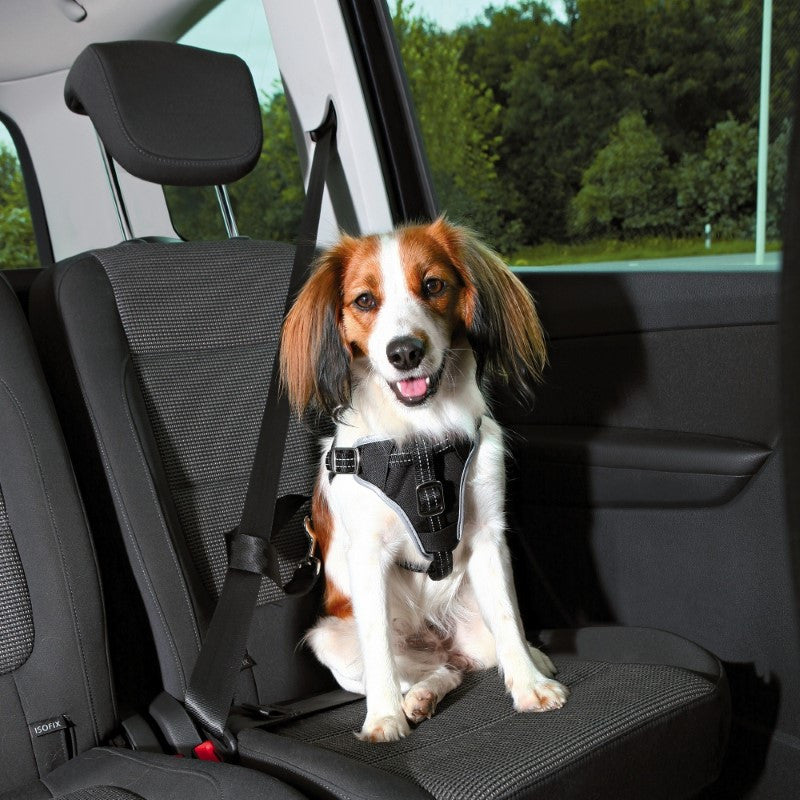 Trixie- Dog Protect Car Safety Harness