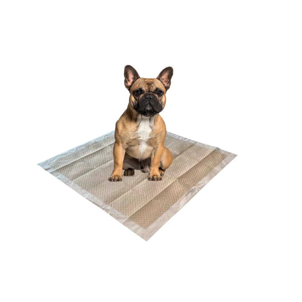M-Pets Eco Training Pads for Puppy Dogs