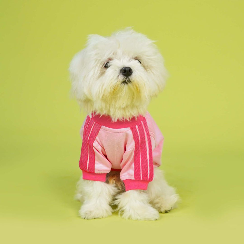 Pets Way Dive In Stripes Blush T-Shirt for Dogs