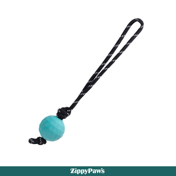 Zippy Paws ZippyTuff Waggle RopeTugz Plush Toy for Dogs