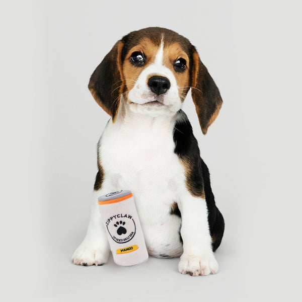 Zippy Paws Squeakie Can Zippy Claw Plush Toy for Dogs