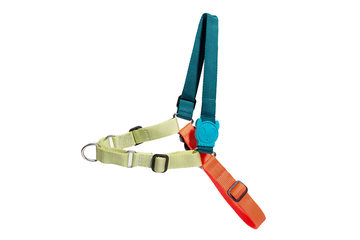 Zee Dog - Softwalk Harness