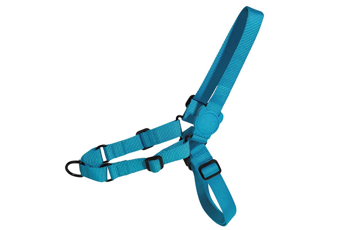 Zee Dog - Ultimate Blue Softwalk Harness