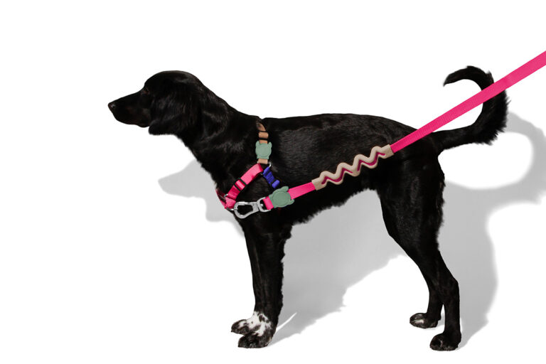 Zee Dog - Yucca Softwalk Harness