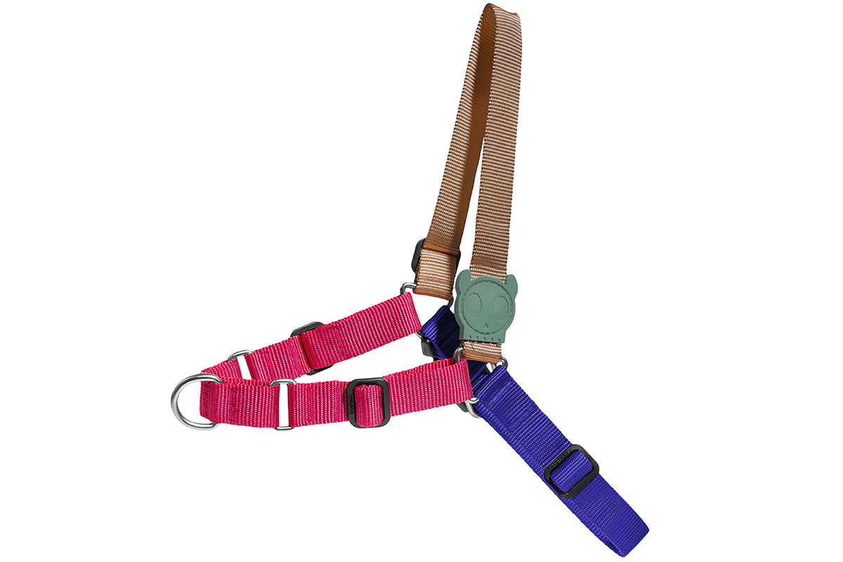 Zee Dog - Yucca Softwalk Harness