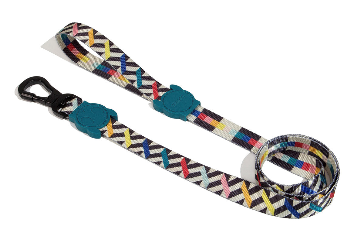 Zee Dog -   Leash for Dogs