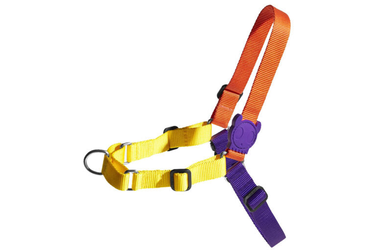 Zee Dog - Softwalk Harness