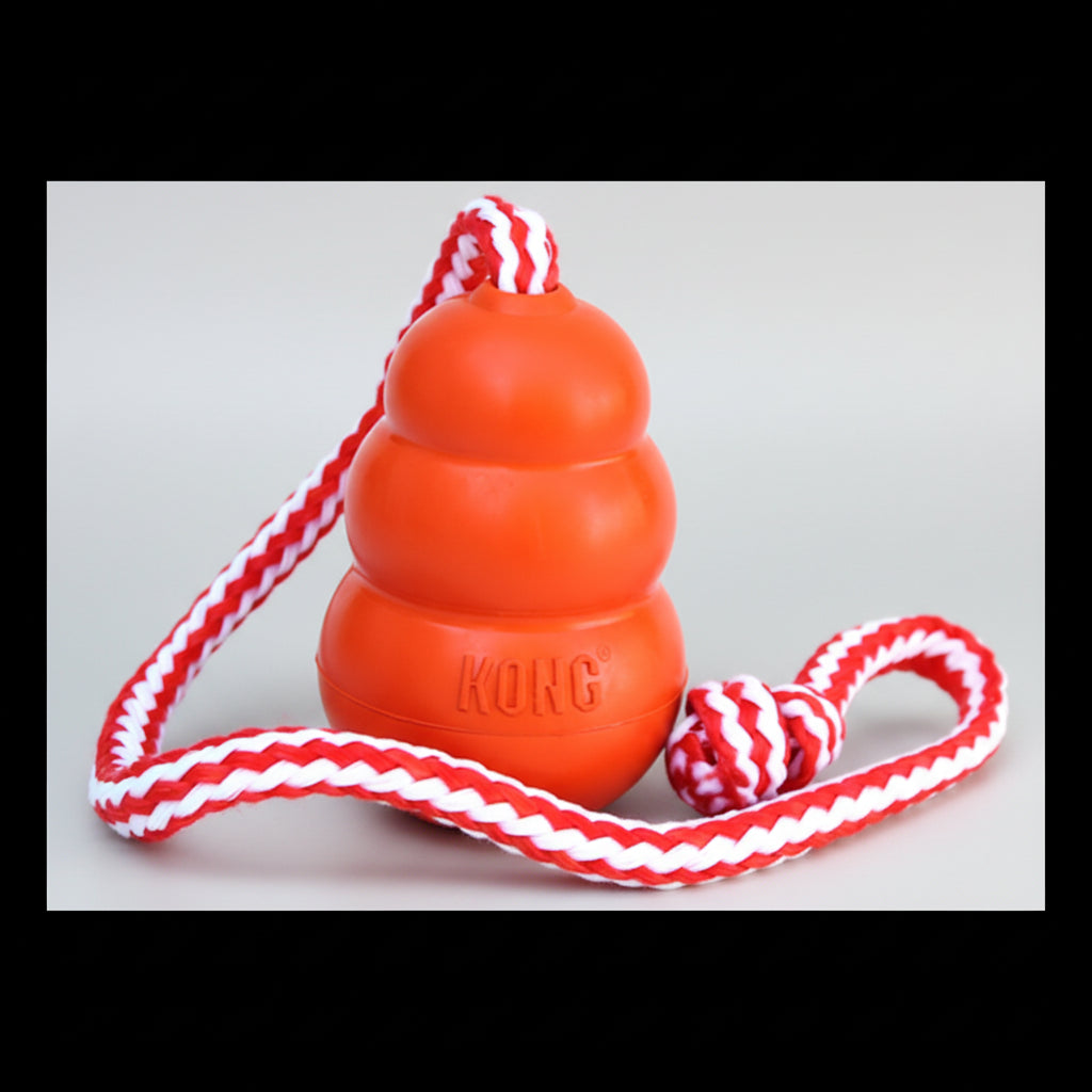 Kong Aqua Natural Rubber Toy