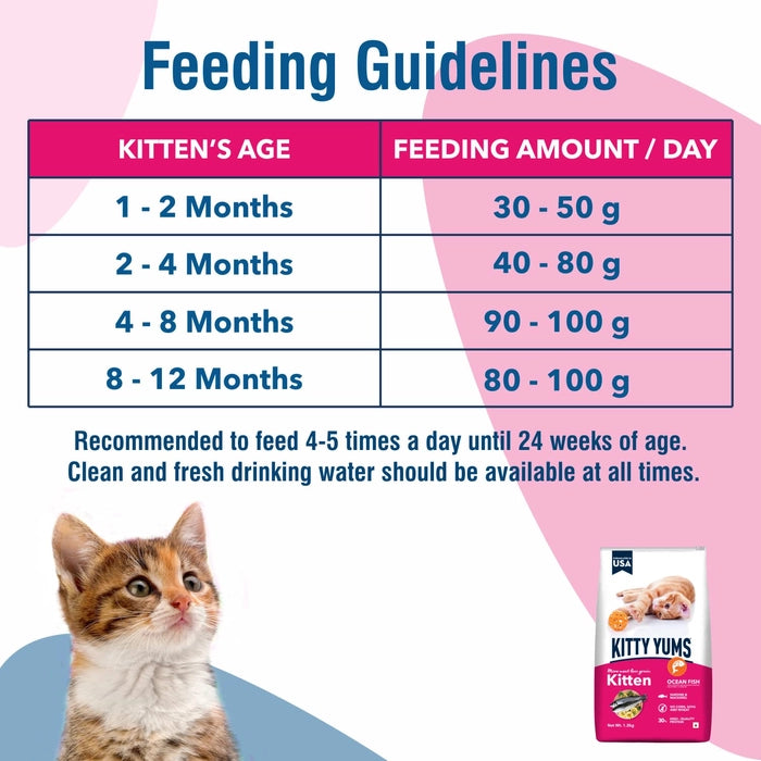 Kitty Yums- Kitten (1-12 Months) Dry Cat Food Ocean Fish