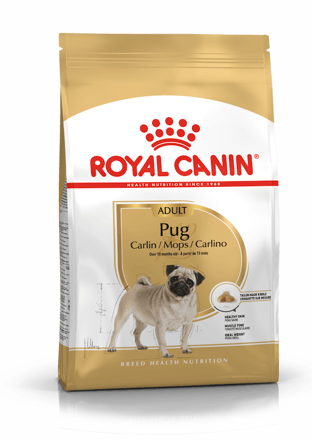 Royal Canin- Pug Adult Dry Dog Food