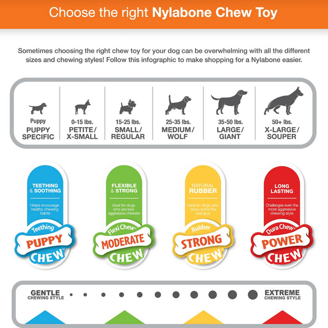 Nylabone Flavor Fun Power Bacon & Egg Flavor Chew Dog Toy