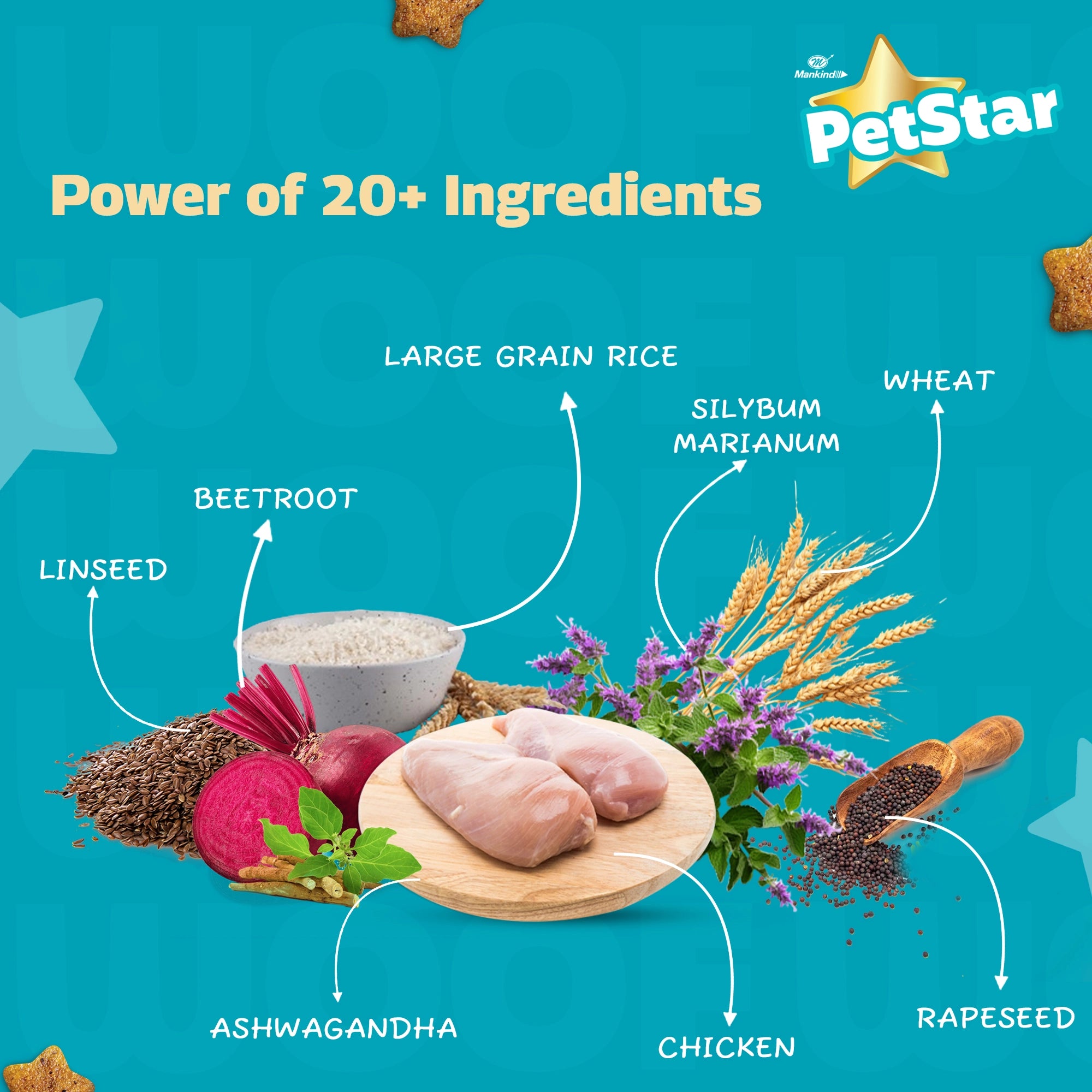 PetStar- Chicken And Wheat Adult Dog Food