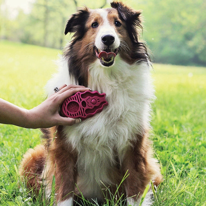 Kong - Zoom Groom Raspberry Brush for Dogs