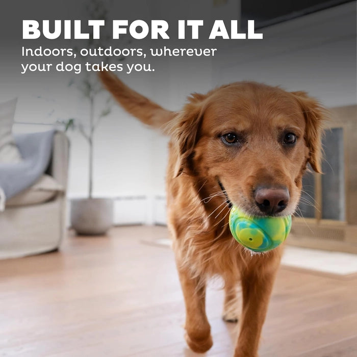 Petstages - Grunt N Punt Tennis Ball for Dogs