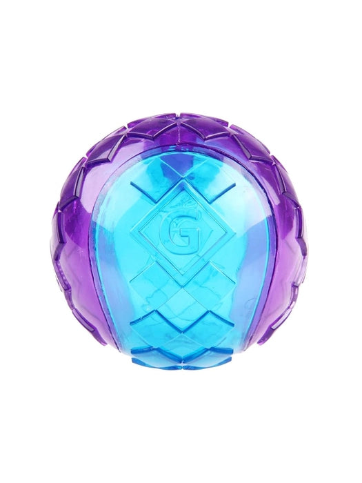 Gigwi-Squeaker Transparent Blue& Purple Ball for Dog Medium