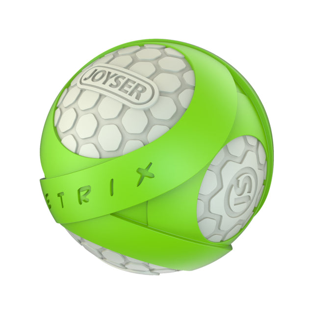 Joyser Netrix Ball Dog Toy