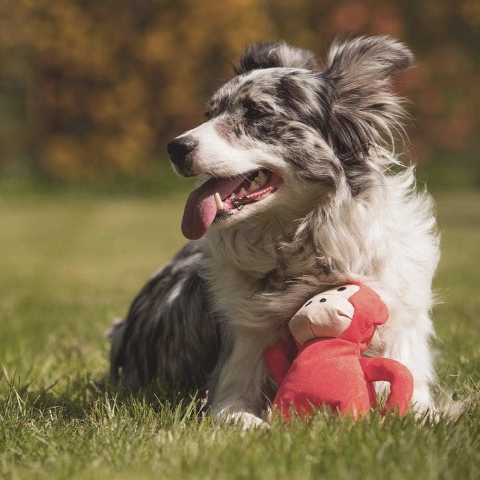 Beco- Pets Michelle The Monkey Dog Toy (s)