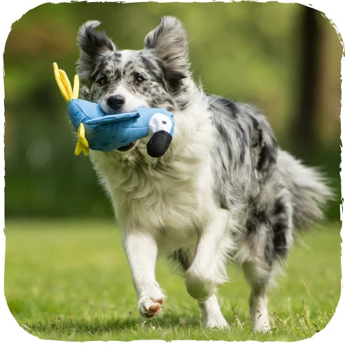 Beco Soft Parrot Toy with Squeaker for Dogs