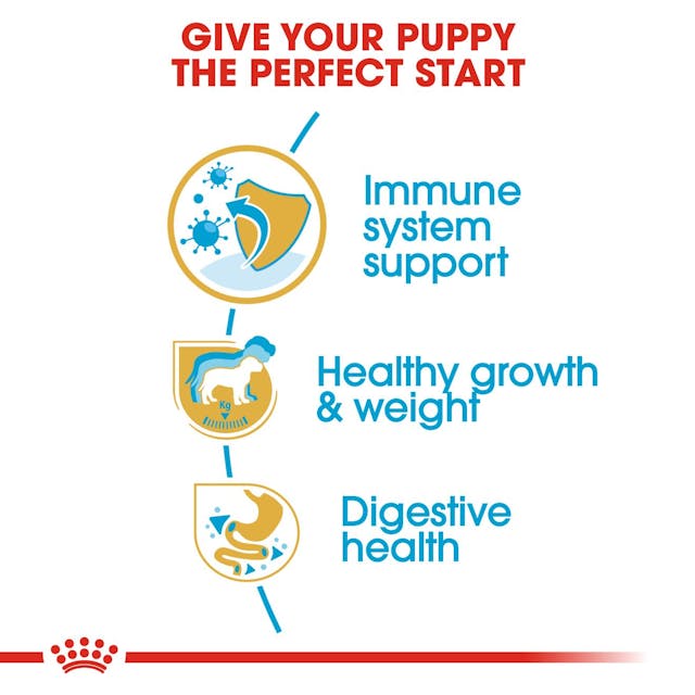 Royal Canin - Labrador Retriever Puppy Dry Food for Puppies