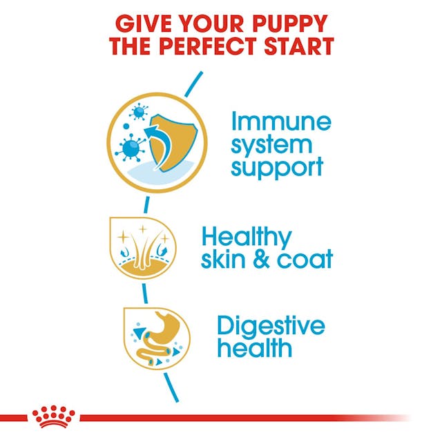 Royal Canin - Dry Food for Shitzu Puppy Upto 10 Months old