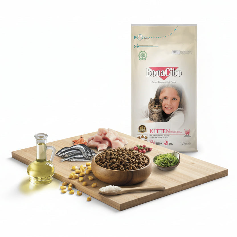 Bonacibo Chicken Kitten Cat Dry Food