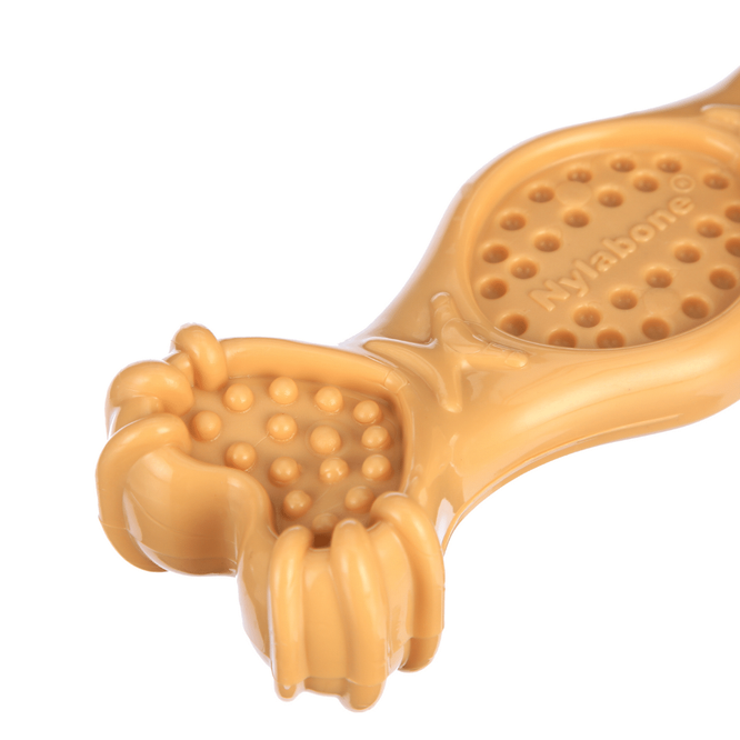 Nylabone Power Chew Fill and Treat Toy Peanut Butter
