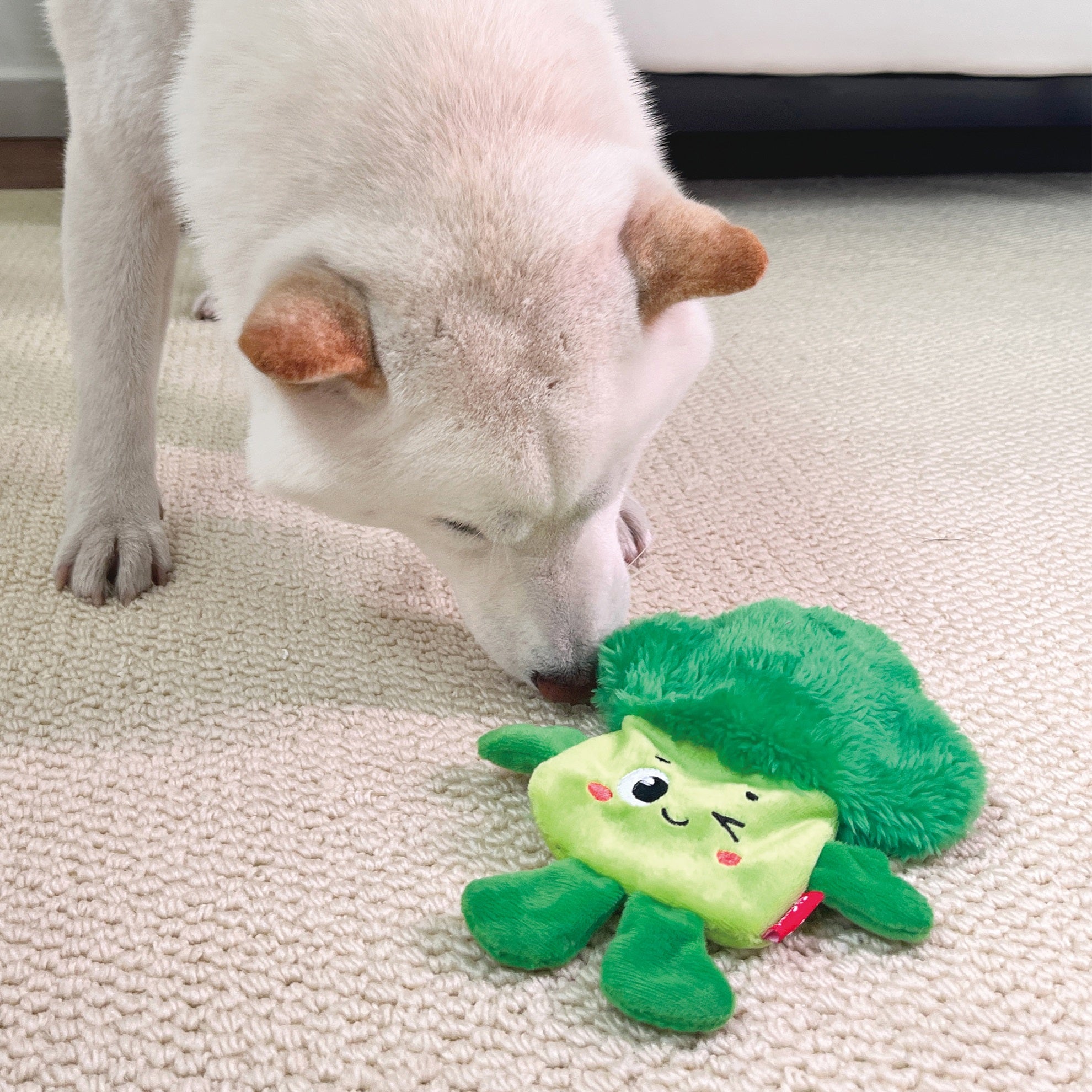 Gigwi Suppa Puppa Dog Toy