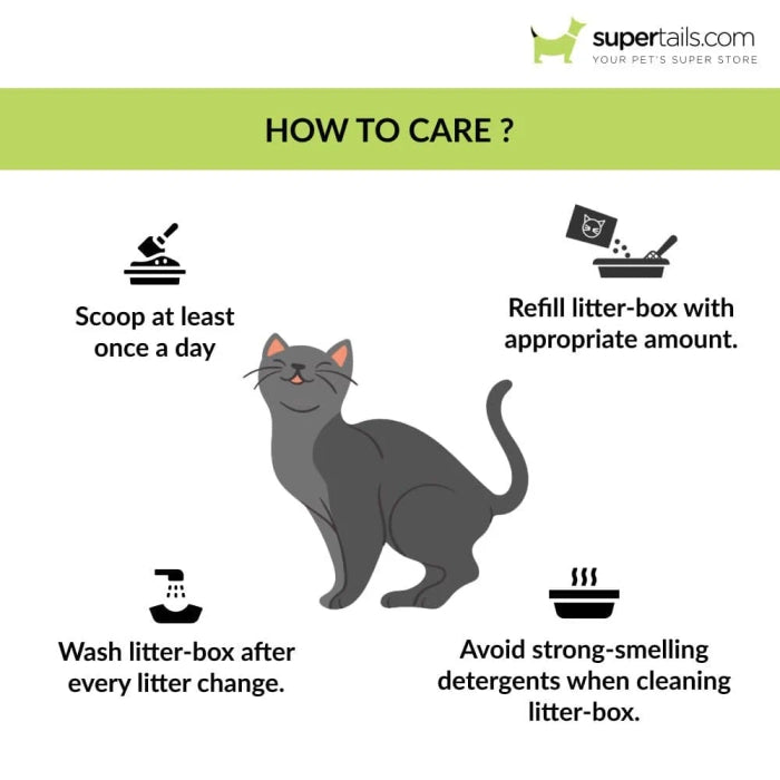 M Pets Mansura Litter Tray with Rim for Cats