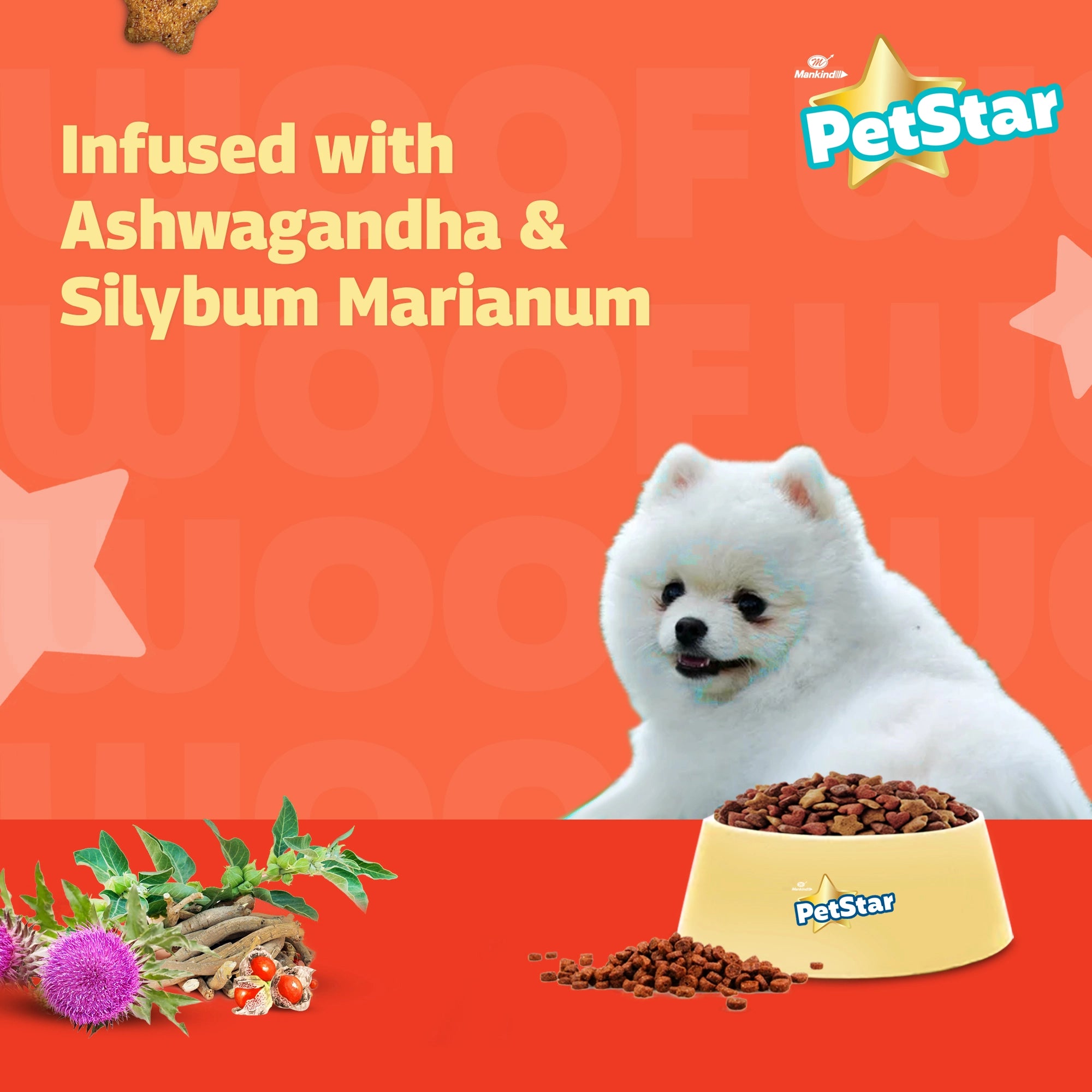 PetStar-Puppy Chicken & Wheat Dry Dog