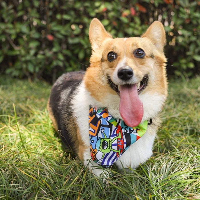 M-Pets Urban Style Freestyle Bandana