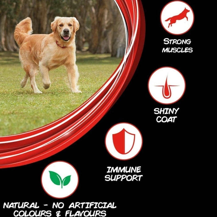 SuperCoat- Chicken Adult All Breed Dog Dry Food