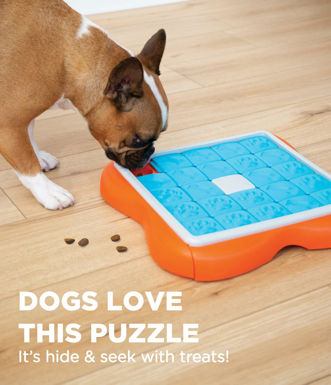 Outward Hound - Nina Ottosson Challenge Slider Interactive Treat Puzzle Toy, 37 Cm X 37 Cm New