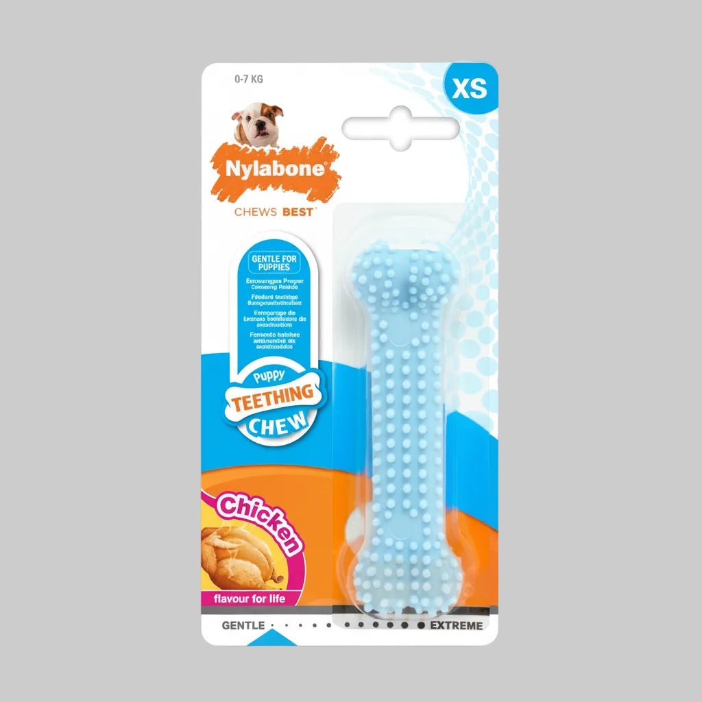 Nylabone Chicken Puppy Blue Dental Bone