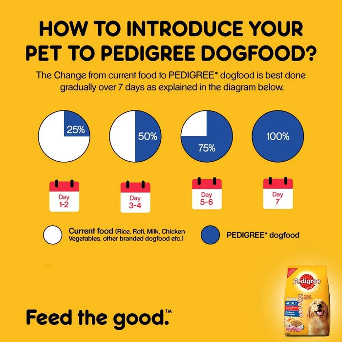 Pedegree-Adult Dry Dog Food Chicken & Vegetables Flavor