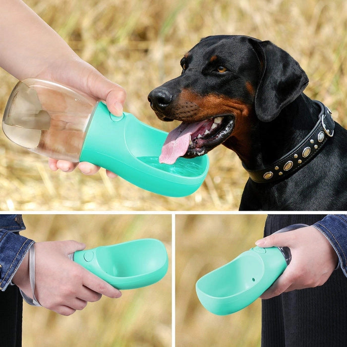 Story Tails - Pet care Cup