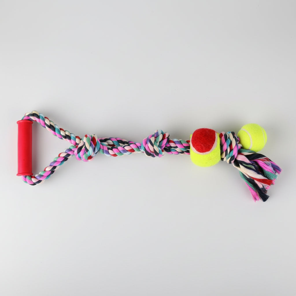 Trixie Playing Rope with Tennis Ball