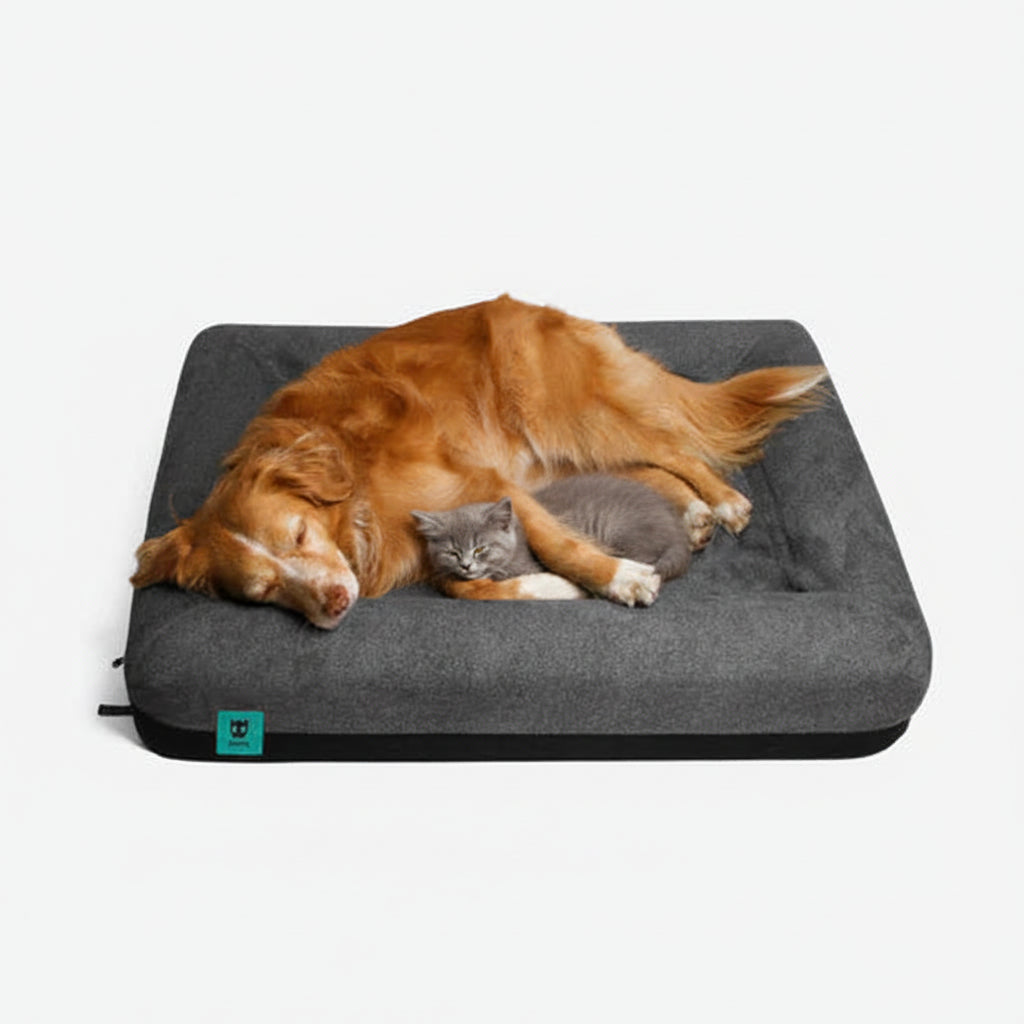 Zee Dog Logo Bed
