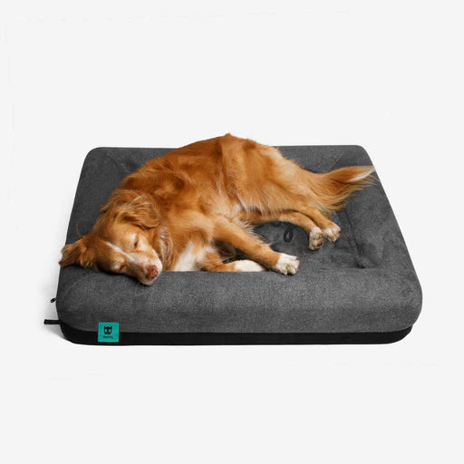 Zee Dog-Logo Bed