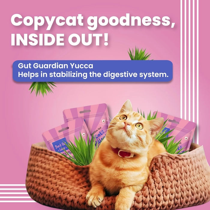 Bark Out Loud - Cat Pillows for Sensitive Gut Chicken Treats 100Gm