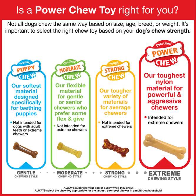 Nylabone Flavor Fun Power Bacon & Egg Flavor Chew Dog Toy