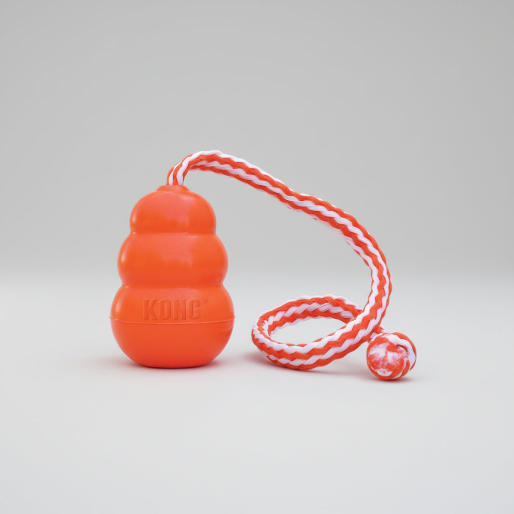 Kong Aqua Natural Rubber Toy