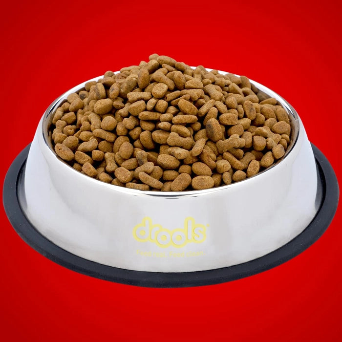 Drools- Dog Feeding Bowl